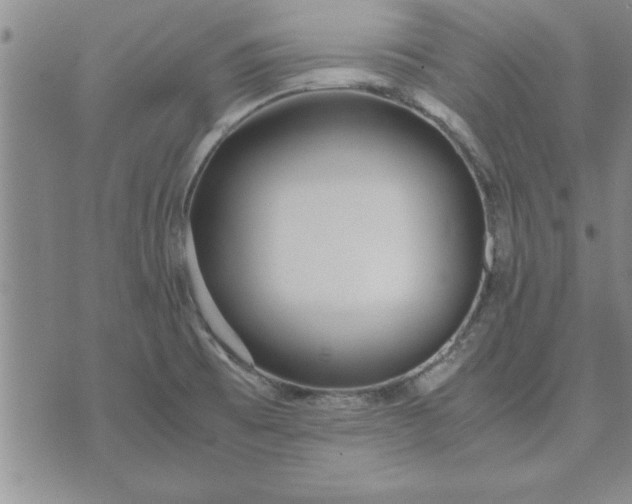 X0000071831473200607141648