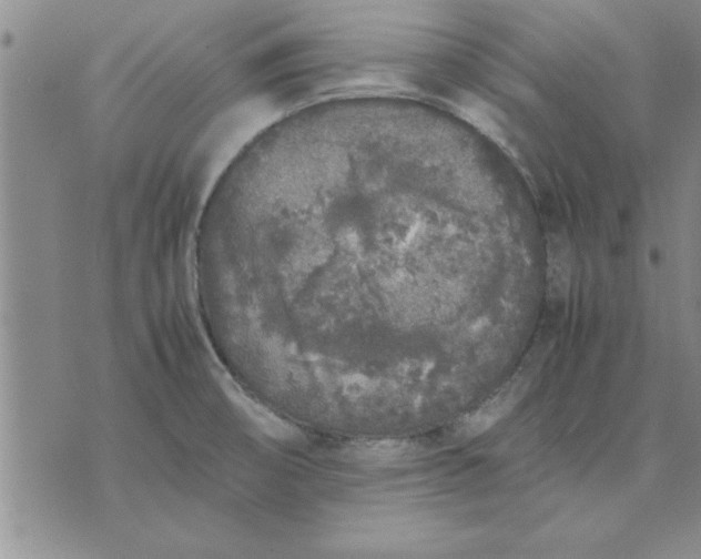 X0000071831474200607141648