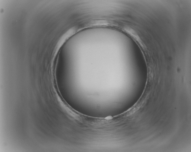 X0000071831475200607141648