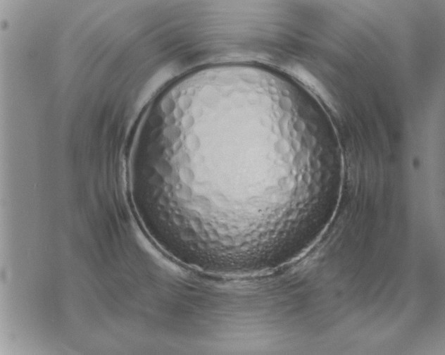 X0000071831476200607141648