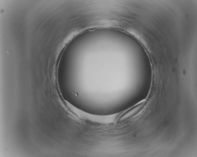 X0000071831477200607141648