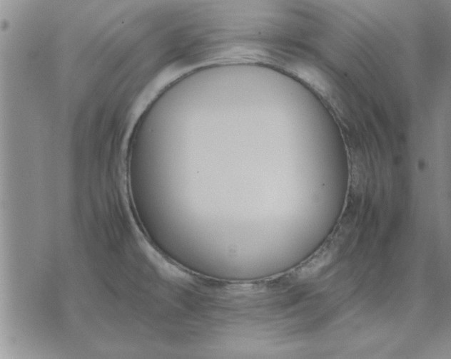 X0000071831478200607141648