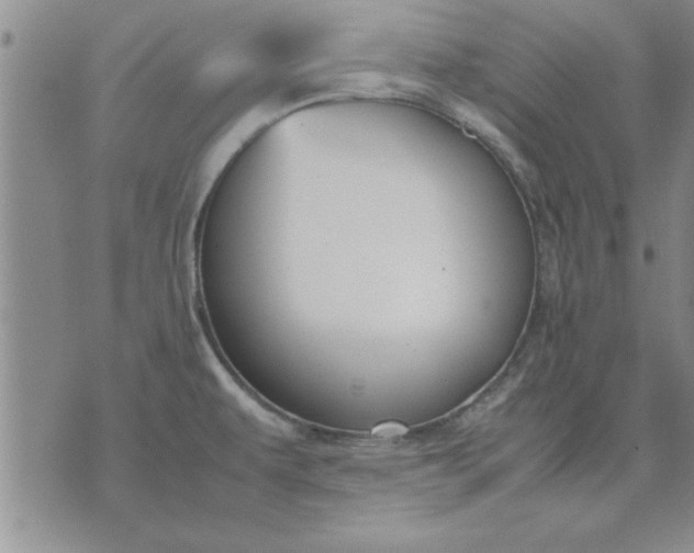 X0000071831479200607141648