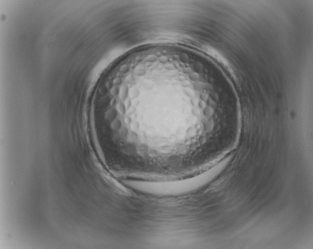 X0000071831480200607141648