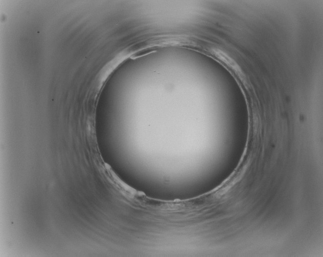 X0000071831481200607141648