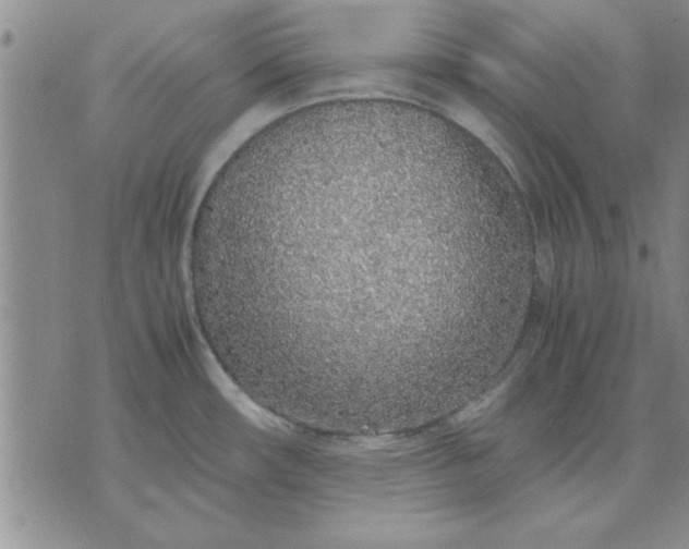 X0000071831482200607141648