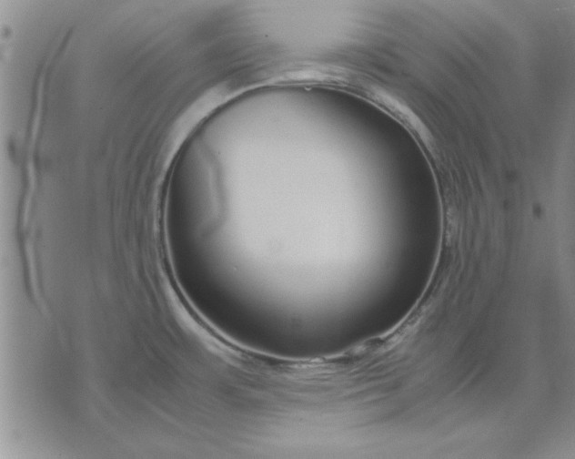 X0000071831483200607141648