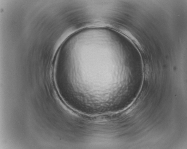 X0000071831484200607141648