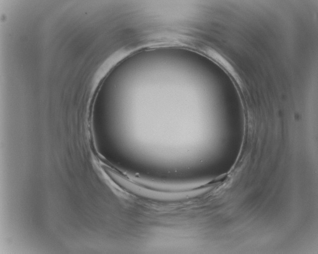 X0000071831485200607141648