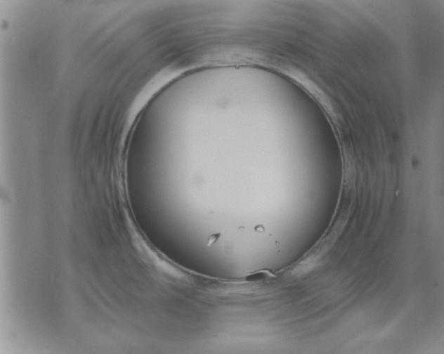 X0000071831486200607141648