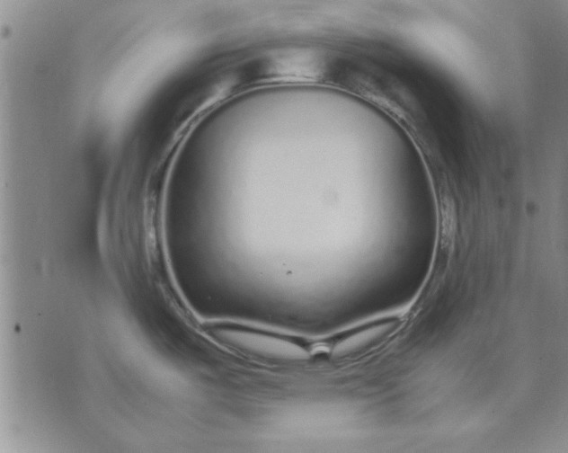 X0000071831487200607141648