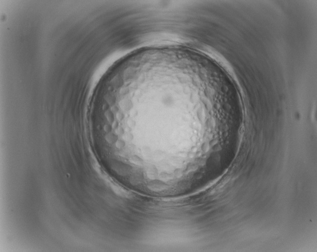 X0000071831488200607141648