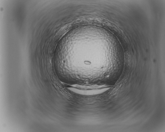 X0000071831489200607141647