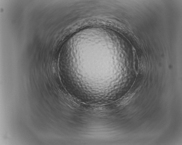 X0000071831490200607141647