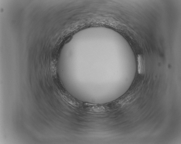 X0000071831491200607141647