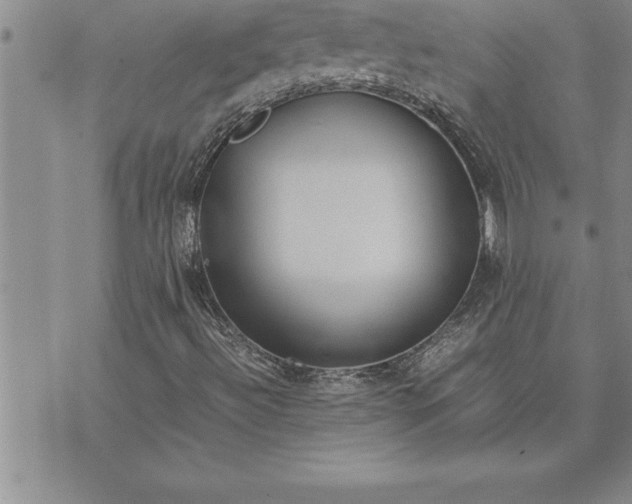 X0000071831492200607141647