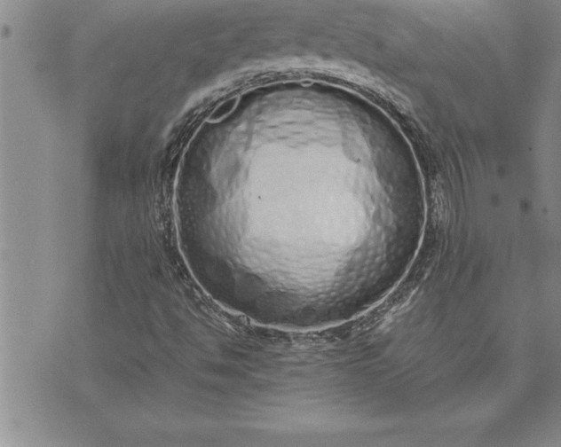 X0000071831494200607141647