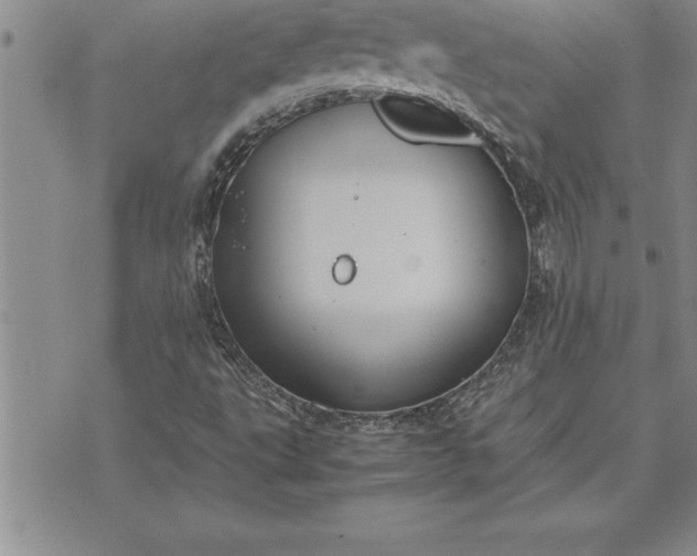 X0000071831495200607141647