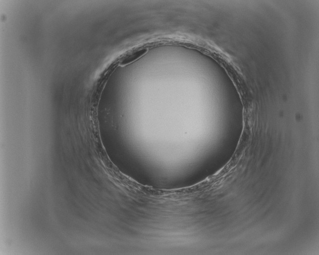 X0000071831496200607141647