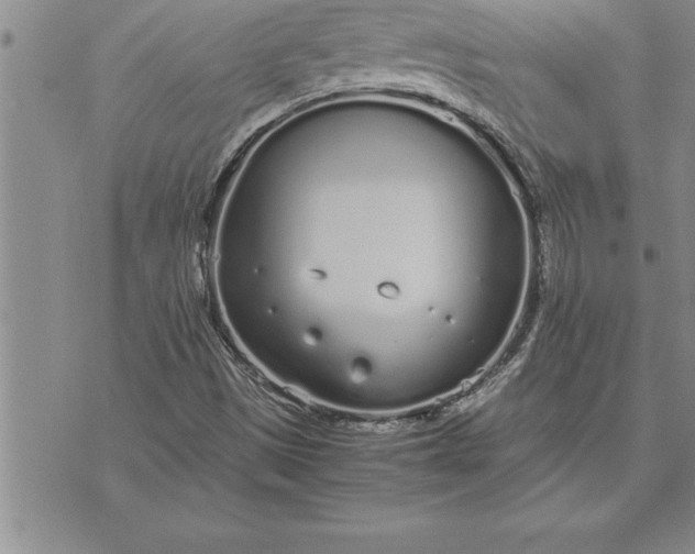 X0000071831497200607141647