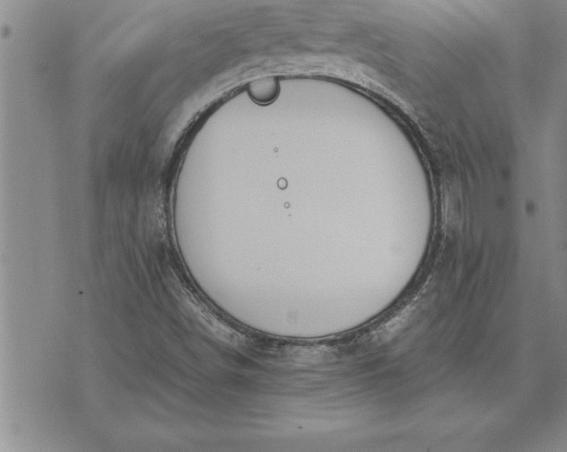 X0000071831498200607141647