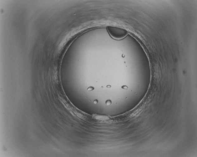 X0000071831499200607141647