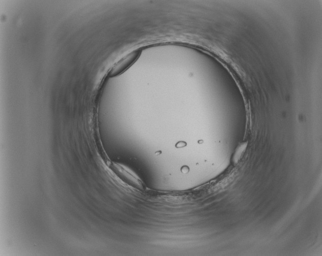 X0000071831500200607141647