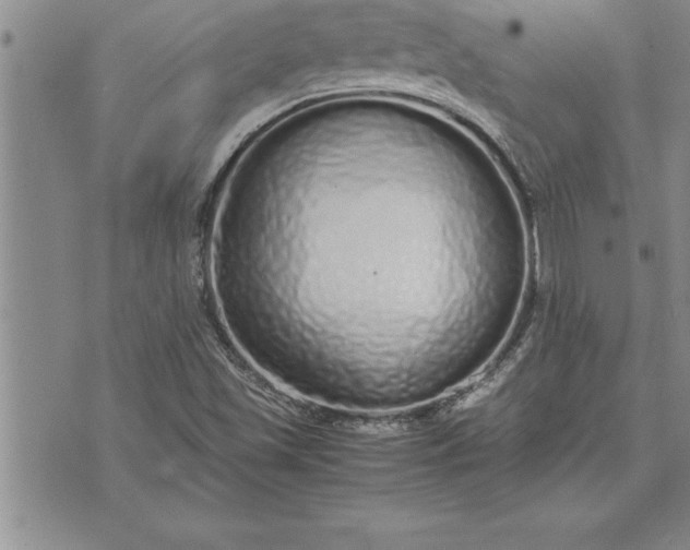 X0000071831501200607141647