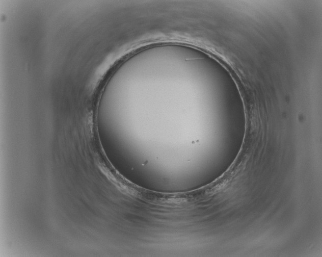 X0000071831503200607141647