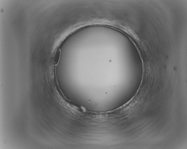 X0000071831504200607141647