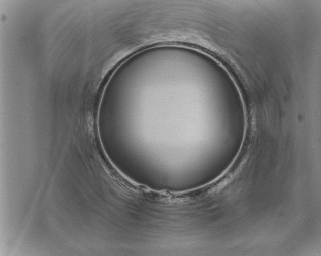 X0000071831505200607141647