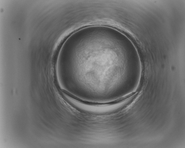 X0000071831506200607141647