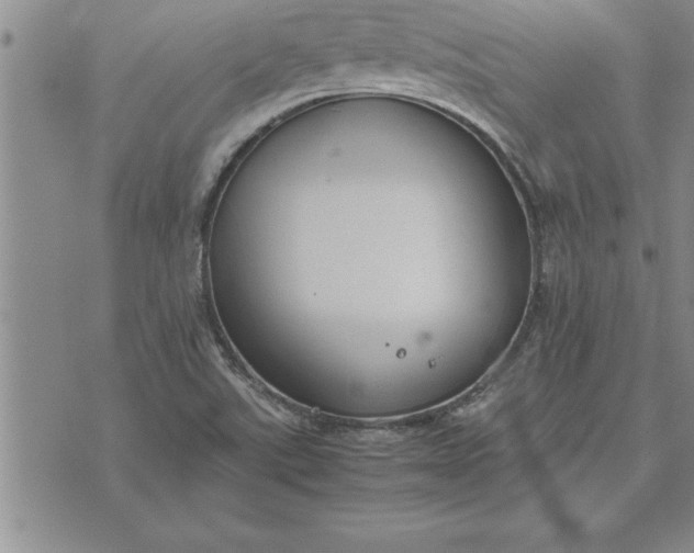 X0000071831507200607141647