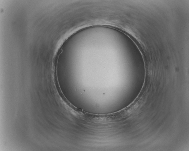 X0000071831508200607141647