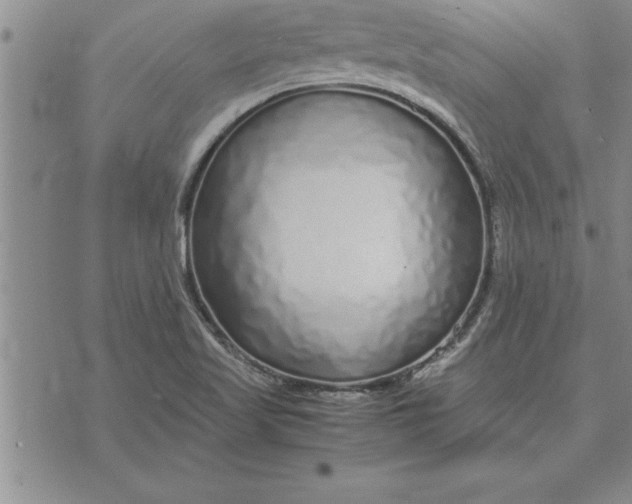 X0000071831509200607141647