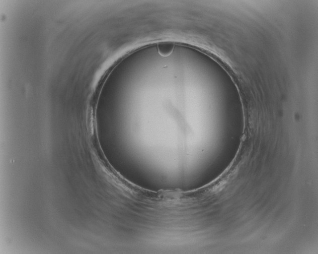 X0000071831510200607141647