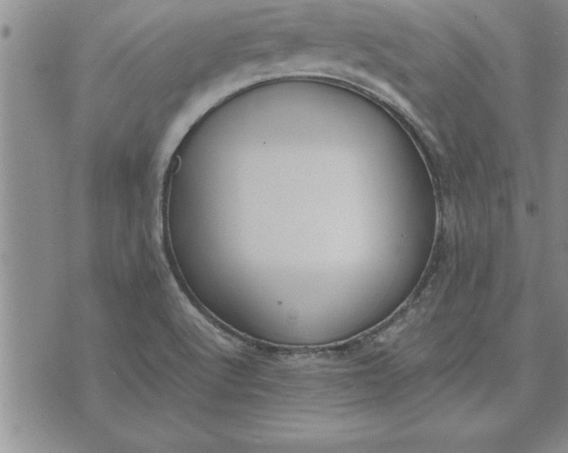 X0000071831512200607141647