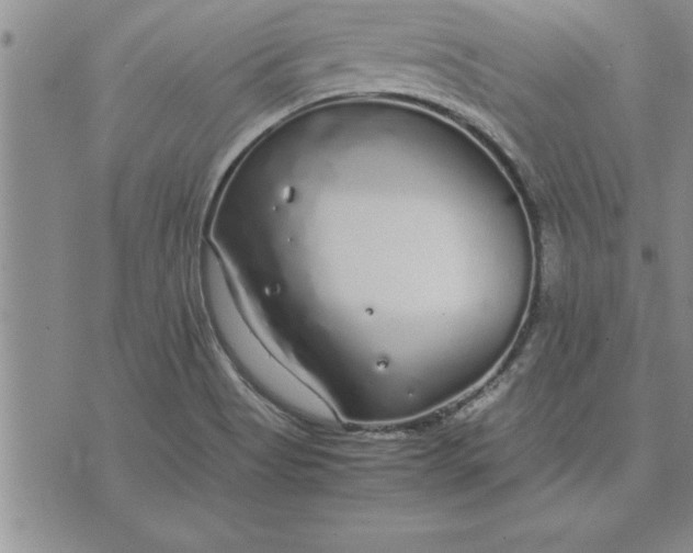 X0000071831513200607141647