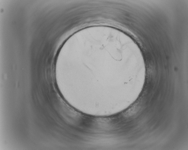 X0000071831514200607141647