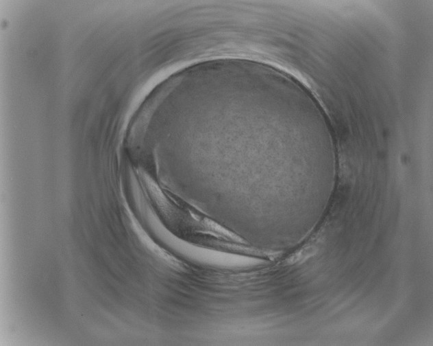 X0000071831515200607141647