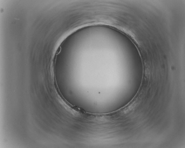 X0000071831516200607141647