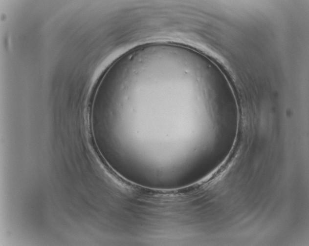 X0000071831517200607141647