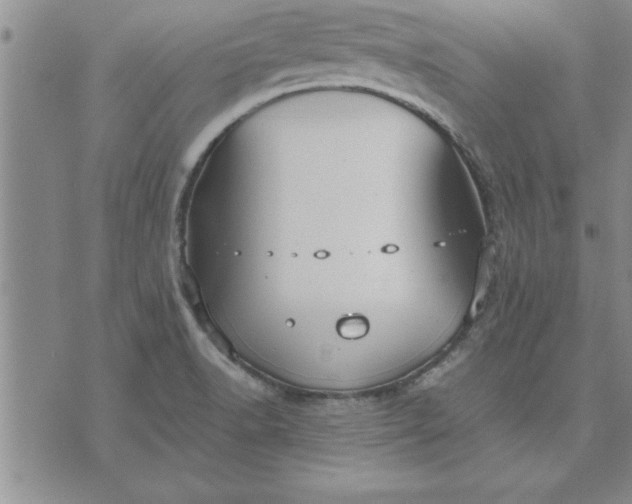 X0000071831518200607141647