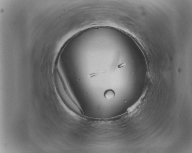 X0000071831519200607141647