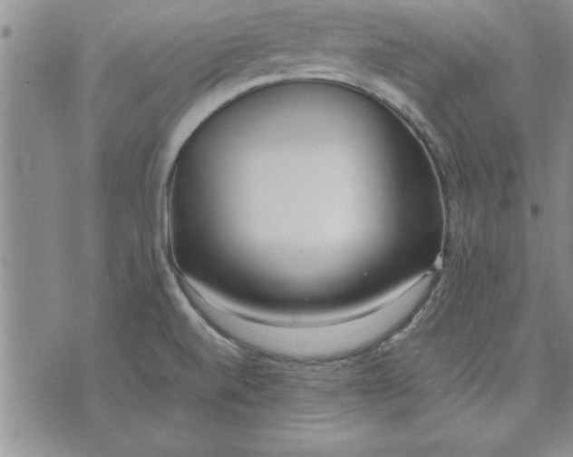 X0000071831520200607141647