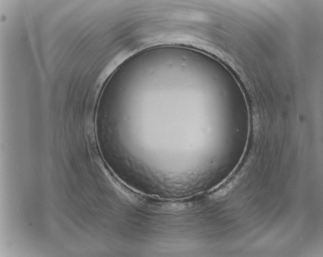 X0000071831521200607141647