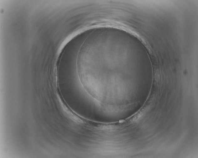 X0000071831522200607141647