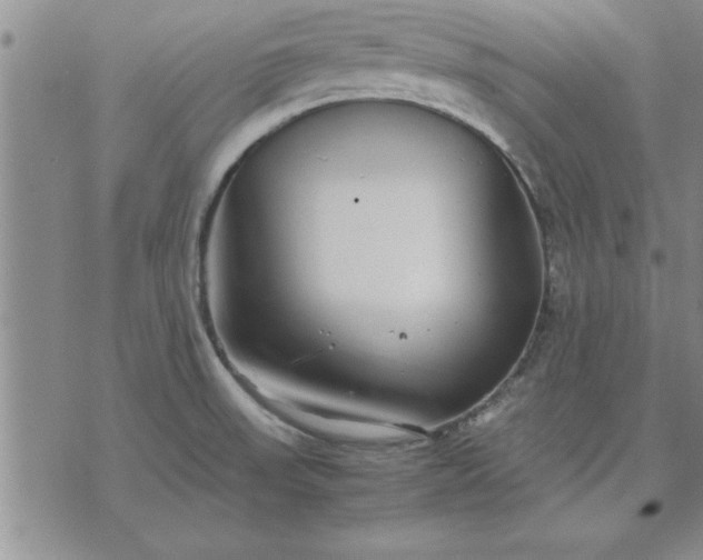 X0000071831523200607141647