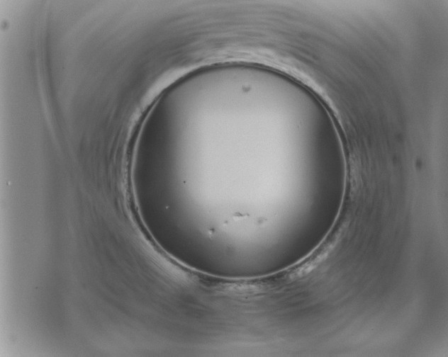 X0000071831525200607141647