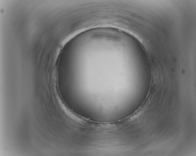 X0000071831526200607141647